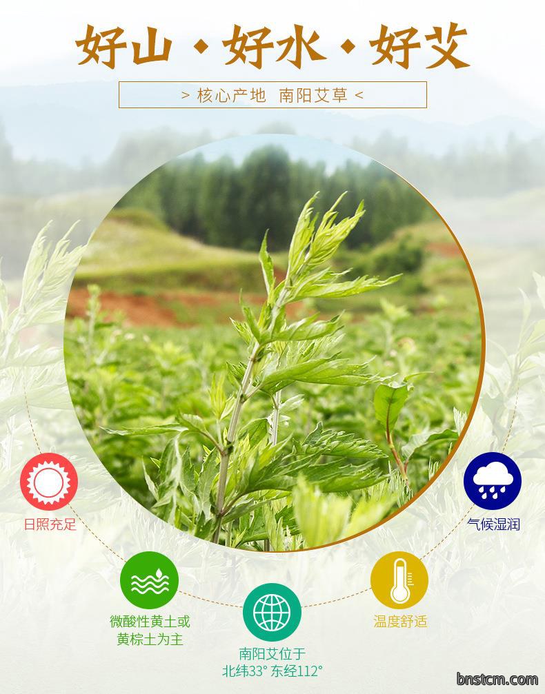 10:1妙艾堂陈艾条 批发盒装艾叶艾草条艾灸条南阳艾条厂家艾绒条