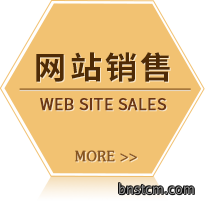 网站销售