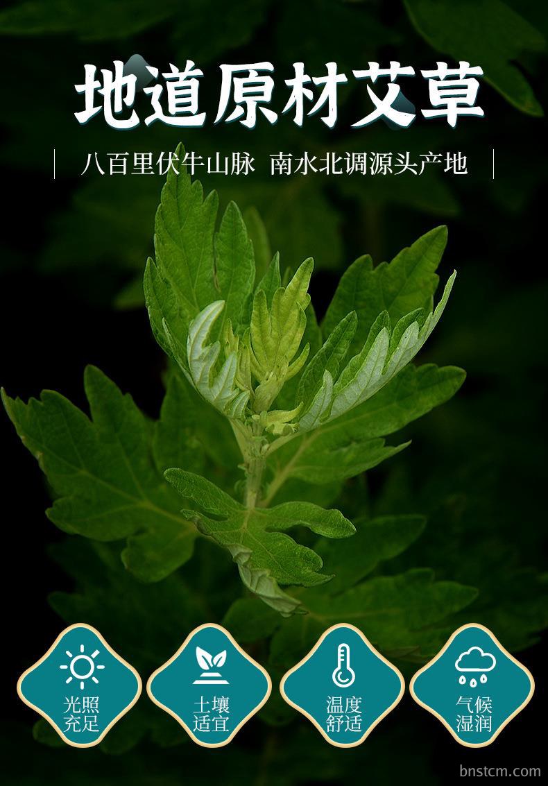 妙艾堂艾柱 盒装陈年108艾柱粒 南阳厂家批发非无烟纯艾条艾灸柱