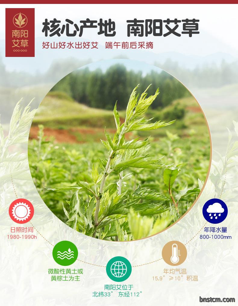 妙艾堂姜艾柱 艾条生姜陈年54粒加姜金艾柱 南阳厂家批发艾灸产品