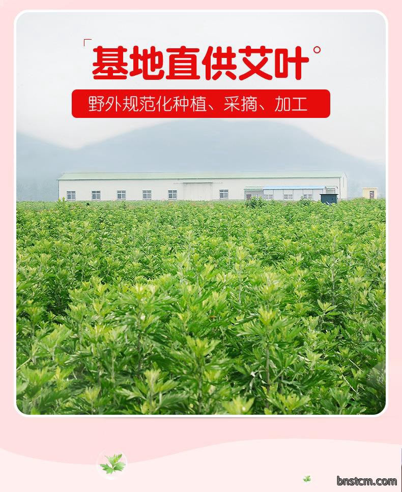 批发艾灸发热贴 艾草自发热磁灸暖宝宝贴暖身贴暖宝宝热帖艾热贴